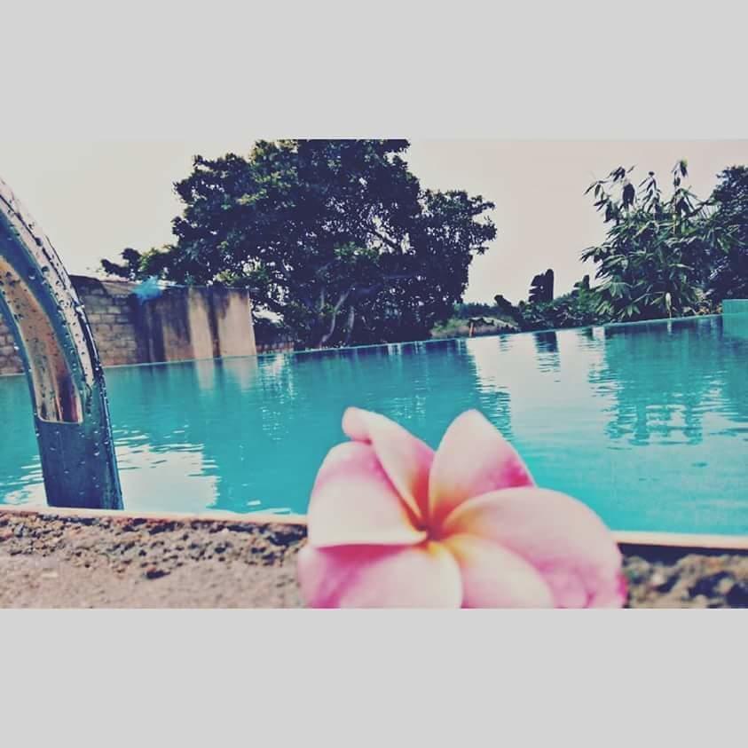 Deutsche Villa ฮิกคาดูวา ภายนอก รูปภาพ